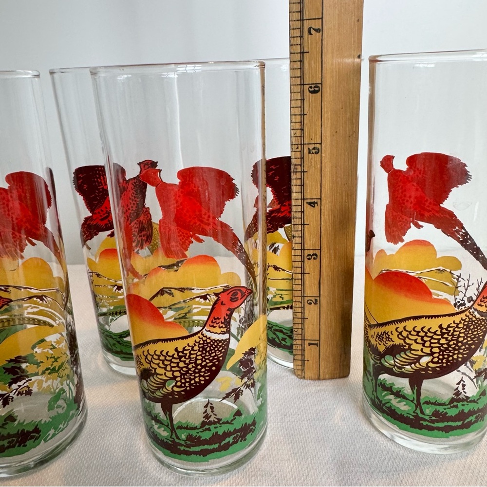 6 MCM Tom Collins Tumblers Tall Drinking Glasses Pheasant Hunting Scene - Picture 3 of 6